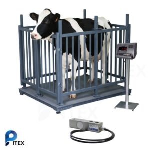 Digital Animal Weight Scale In Bangladesh